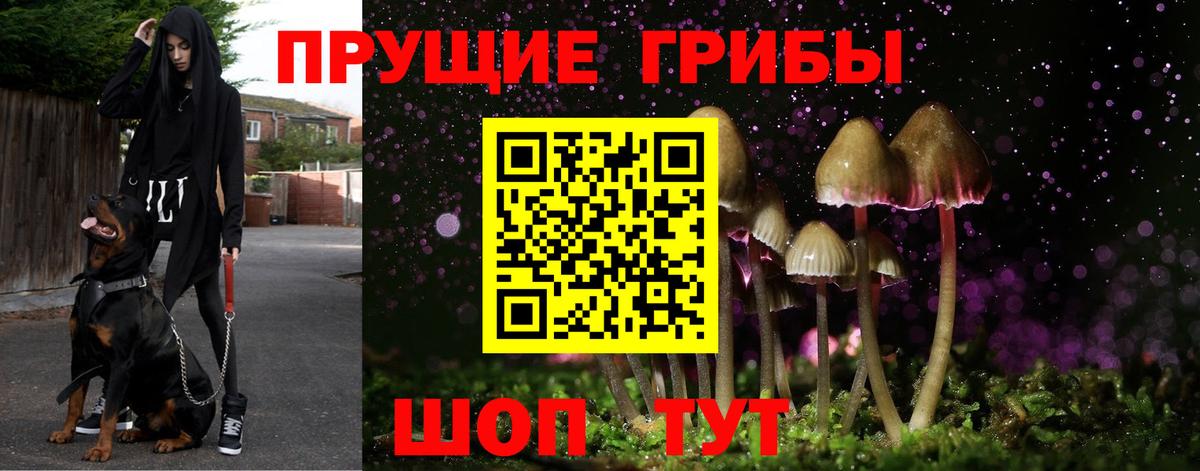 Псилоцибиновые грибы Magic Shrooms Гусиноозёрск