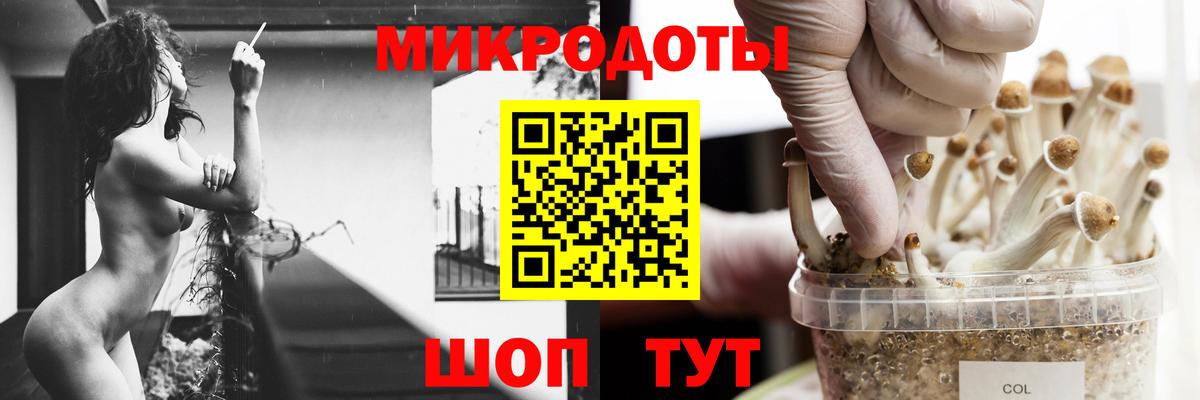 Псилоцибиновые грибы Psilocybine cubensis  Вход с VPN  Гусиноозёрск 